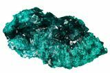 Gemmy Dioptase Crystal Cluster - Renéville Mine, Congo #168639-4